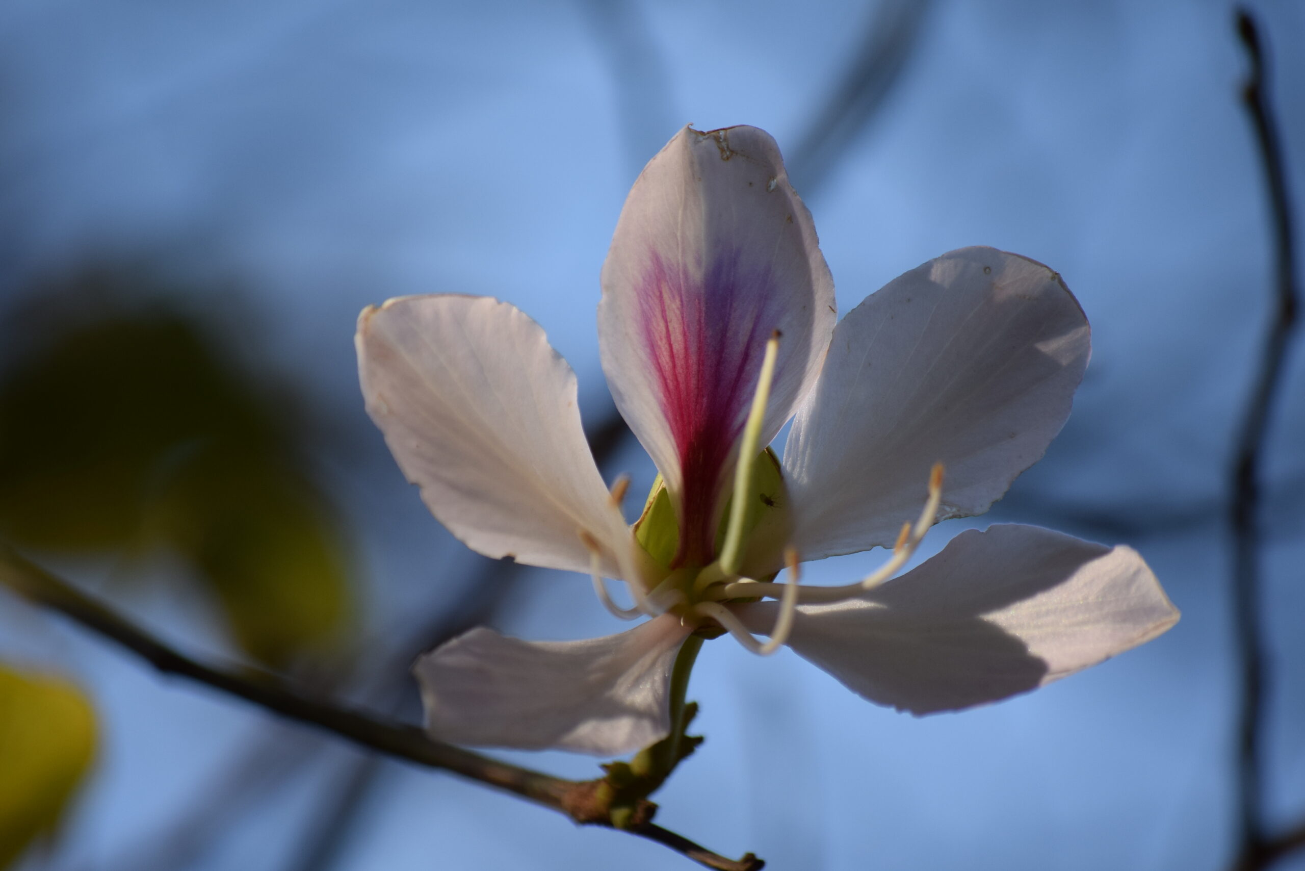 Locations for concentration